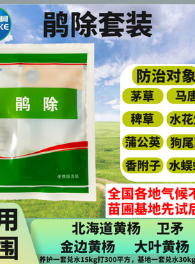 鹃除大叶、金边、北海道黄杨卫矛过顶喷除尖叶阔叶香附子