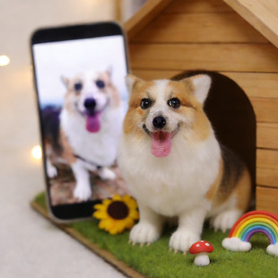 寵物羊毛氈宠物定制玩偶仿真宠物离世纪念猫咪狗狗小动物手工泰迪