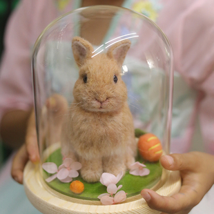 御姐羊毛毡定制仿真兔子摆件玩偶模型宠物离世纪念纯手工diy礼物