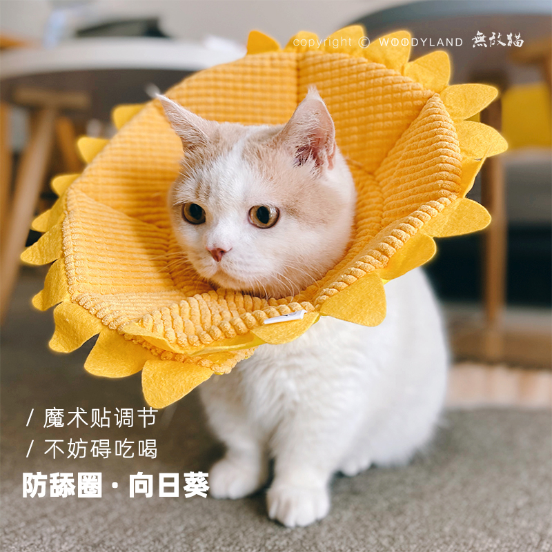 无敌猫宠物伊丽莎白圈向日葵猫咪