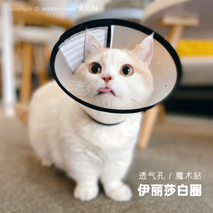 无敌猫 宠物伊丽莎白圈透气医用美容罩防舔咬防抓挠脖圈绝育用药