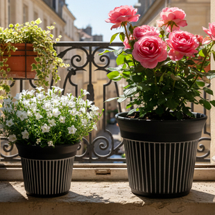新侘寂风黑色花盆喇叭竖条纹简约透气盆复古中式创意多肉植物盆栽