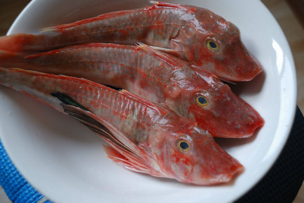 促销海捕野生新鲜红头鱼 红娘子鱼 500克 补钙补锌 营养丰富