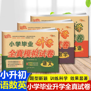 小学毕业升学全真模拟试卷语文数学英语五5六6年级进阶训练冲刺名校题型新颖训练科学名校一线创新试卷小升初测试卷68所