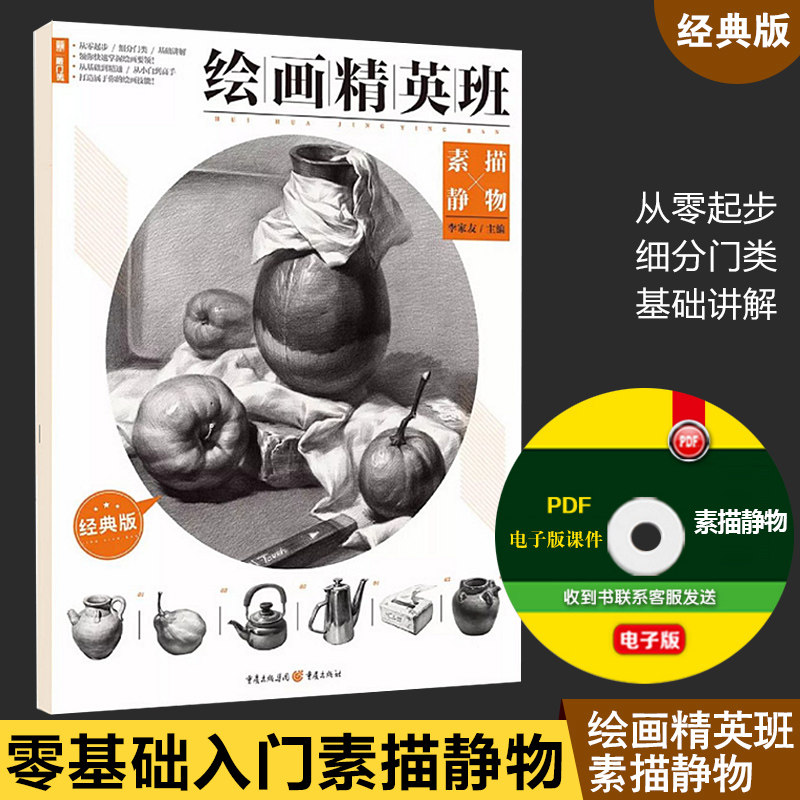 敲门砖 绘画精英班素描静物 经典版 高中版素描静物书 李家友静物临摹
