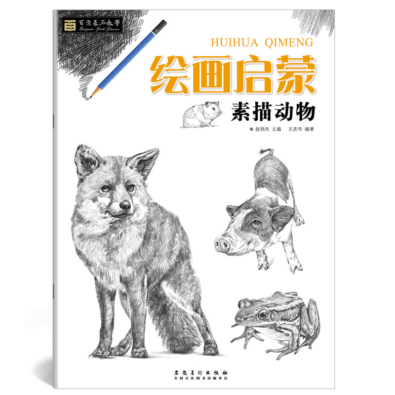 百源基石教学 绘画启蒙 素描动物 赵锦杰主篇 基础知识讲解作品步骤
