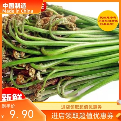 贵州山野菜新鲜现摘龙爪应季