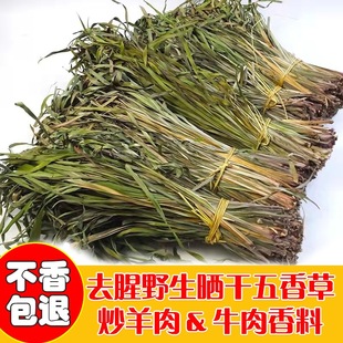 贵州野生五香草自然晒干五香三奈草火锅香料羊肉牛肉去腥山奈香料