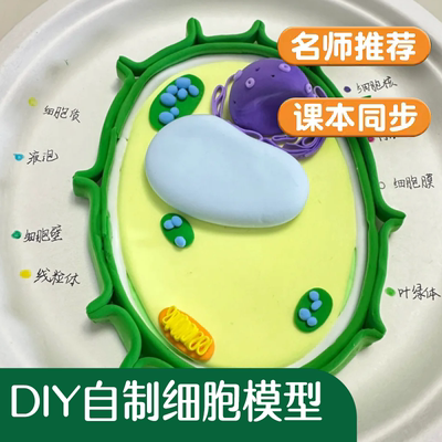 细胞模型制作材料七年级生物高中生物细胞模型成品植物细胞真核