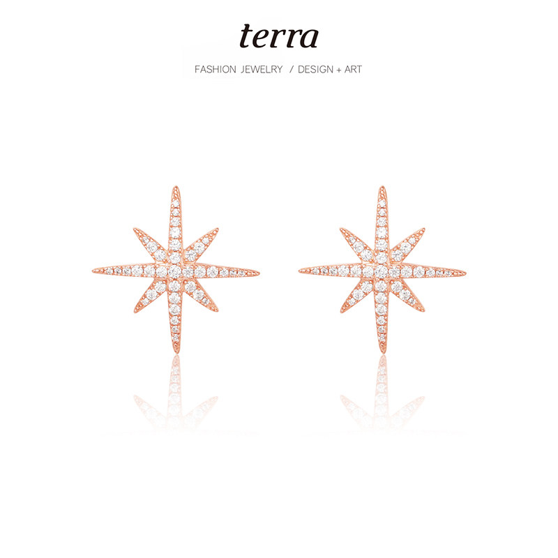 terra流星耳钉925银不过敏轻奢气质简约小众个性精致时尚闺蜜耳环