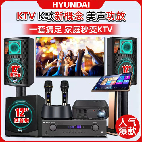 家庭ktv音响套装万利达美声功放