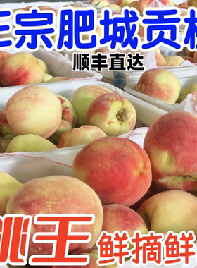 超大果肥城桃顺丰包邮