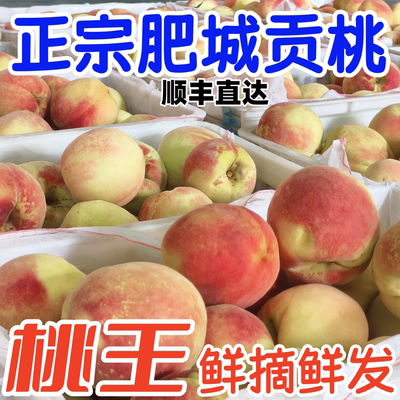 超大果肥城桃顺丰包邮