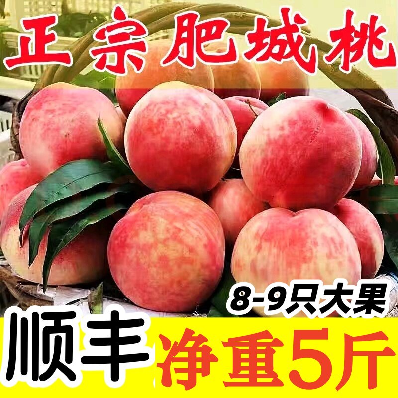 脆甜肥城蜜桃现摘顺丰包邮图片