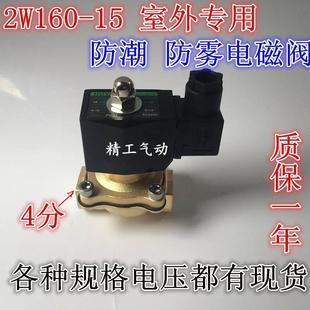 2W160 DC24气动 15室外专用4分全铜阀体线圈防潮防雾电磁阀AC220V