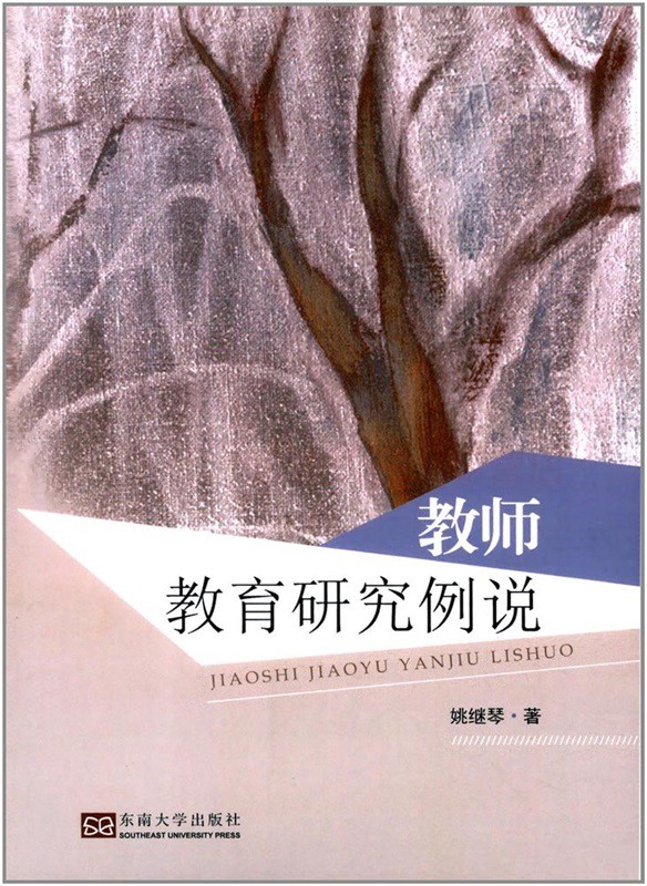 教师教育研究例说 姚继琴 教学过程教学反思 教学方法及理论 入门基础