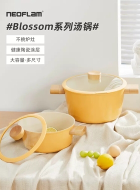 Neoflam双耳汤锅陶瓷锅家用不粘锅炖煮锅电磁炉燃气通用宿舍奶锅