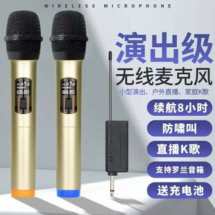 BTES 038无线话筒一拖二家用KTV专用K歌麦克风唱歌音响接收器通用