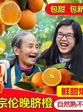 现货伦晚脐橙秭归春橙 湖北秭归新鲜水果橙子 大果带箱10斤装包邮