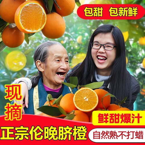 【精选】伦晚脐橙秭归春橙现摘