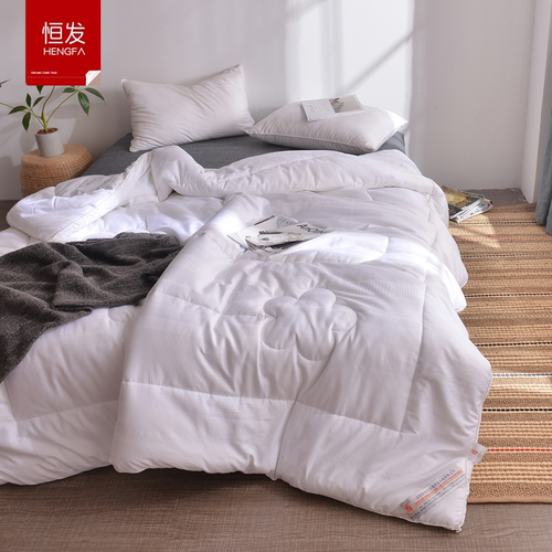 家纺贡缎冬被芯加厚单人学生全棉