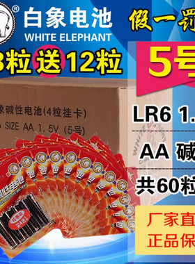 金白象1.5V碱性电池遥控器