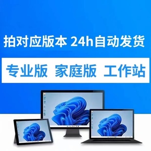 Win11 企业版 升级专业版 Windows10序列号家庭版 工作站系统升级