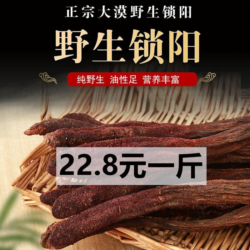 新疆正宗金锁阳纯野生沙漠特级500锁阳干整根切片药材泡茶泡酒料