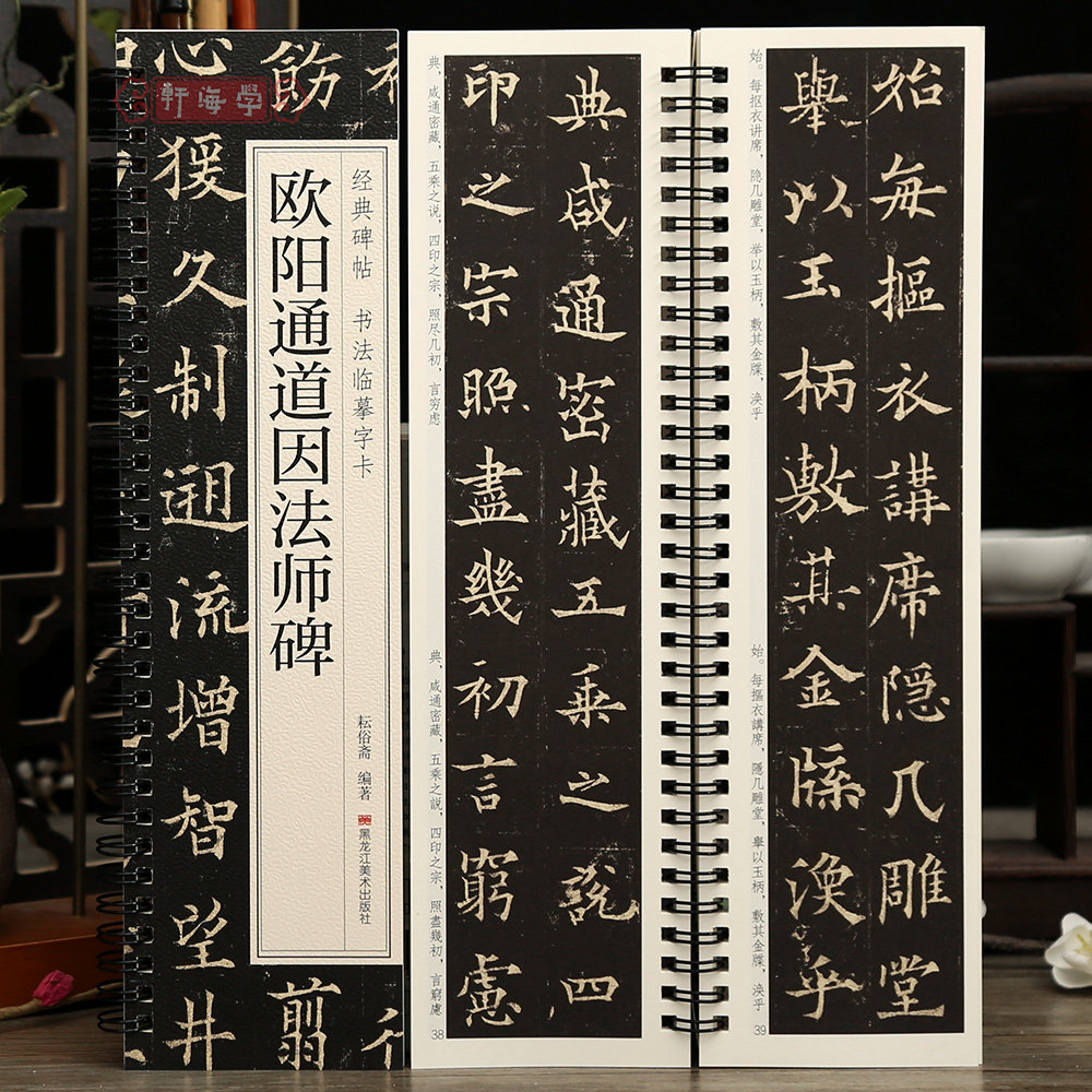 学海轩欧阳通道因法师碑碑帖书法临摹字卡原色原帖繁简体旁注欧阳通楷书毛笔书法字帖成人学生临摹范本字卡黑龙江美术出版社