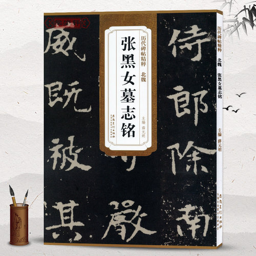 北魏张黑女墓志铭简体旁注历代碑帖楷书毛笔字帖薛元明张玄古帖学生成人临帖临摹书法练习教材技法解析籍安徽美术出版社