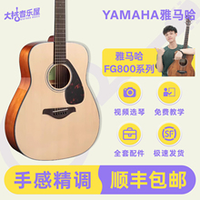 大树音乐屋 YAMAHA雅马哈FG800单板民谣木吉他40/41寸电箱初学者