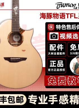 大树音乐屋楚门海豚物语TFL吉他