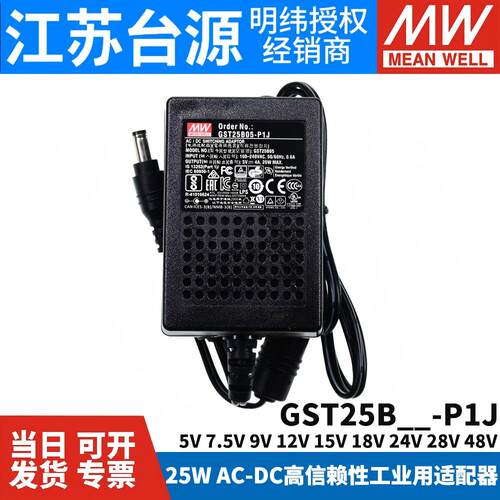 台湾GST25B明纬P1J电源适配器B24
