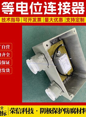管道防爆绝缘接头保护器 100KA石油管道电位均衡器等电位连接器