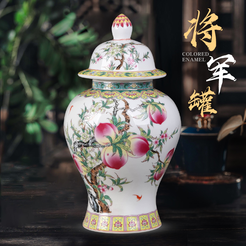 景德镇陶瓷器储物罐将军罐茶叶罐中式家居装饰品客厅电视柜摆件