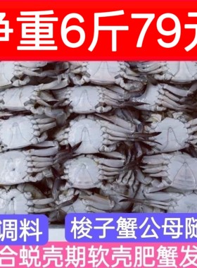 新鲜美味冻冷冻梭子蟹