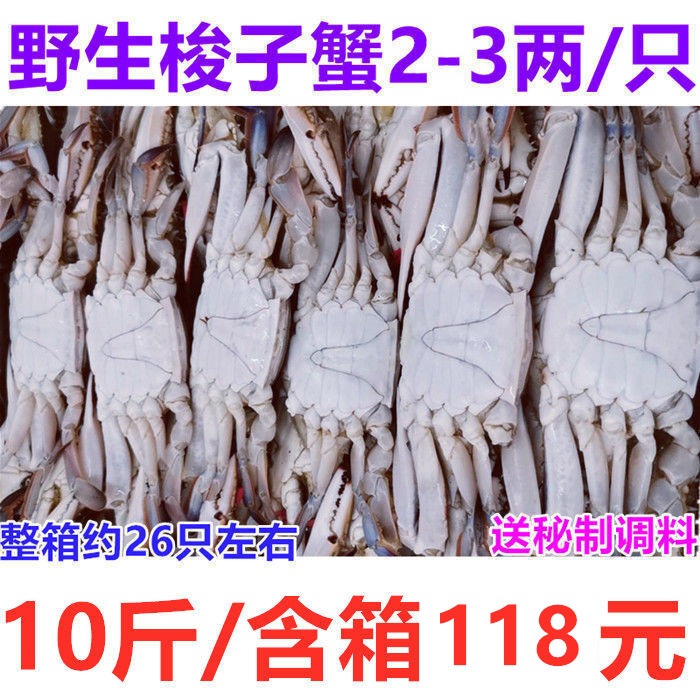 7斤箱2-3两/只包邮冷冻野生梭子蟹公蟹白蟹 飞蟹海鲜香辣蟹,水产肉类/新鲜蔬果/熟食,梭子蟹,淘宝优惠券,粉丝福利购,淘宝优惠卷