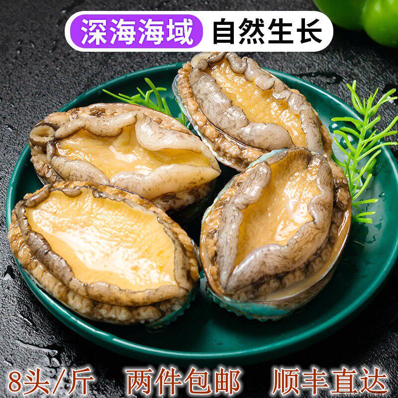 新鲜鲍鱼鲜活速冻福建超大鲍鱼连江鲍鱼海鲜水产8头鲍鱼产地直发