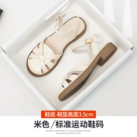 33T2197M Rice Abricot Color