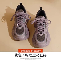 231062 фиолетовый