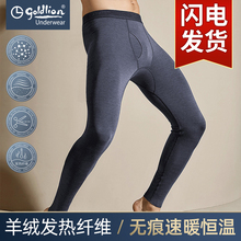 金利来秋裤男士保暖裤男无痕发热秋冬季加绒裤薄款毛裤紧身打底裤