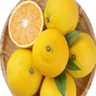 深秋老树甜橘柚庆云农家特产 非建阳桔柚礼盒包装