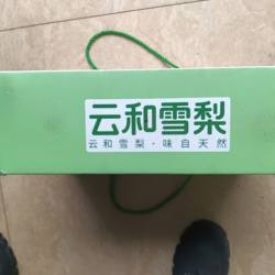 丽水云和土特产高山梨雪梨新鲜 甜口 脆松 礼盒包装送人