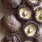 新品香菇小香菇农产品无根香菇干货500g包邮 菌生人气食用菇雪梨