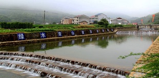 鱼干干货小流河鱼干云和特产石鱼小溪鱼淡水无盐干货500g包邮