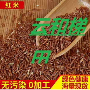 梯田米红米1000克农家食用农产品大米贡米五常稻米云和米雪梨