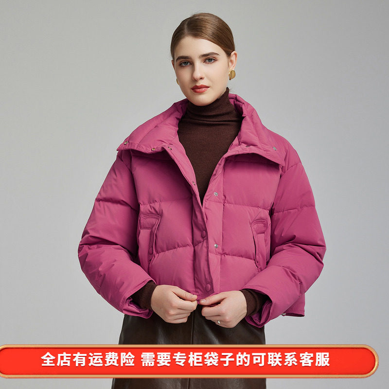 斯尔丽短款立领羽绒服