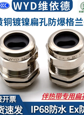 WYD铜镀镍扁孔电缆接头伴热带防水葛格兰头扁芯防水填料函压盖
