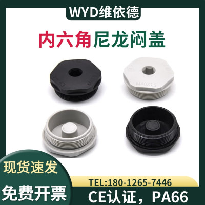 WYD内六角尼龙闷盖堵头