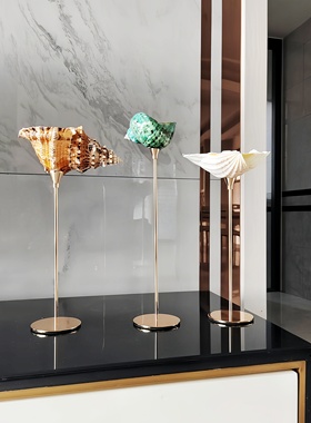 天然海螺贝壳摆件  轻奢桌面样板间创意装饰容器酒杯收纳香薰礼品